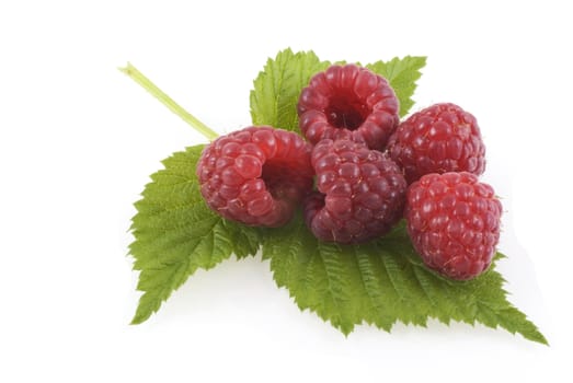 Five raspberries on a leaf, isolated on white.