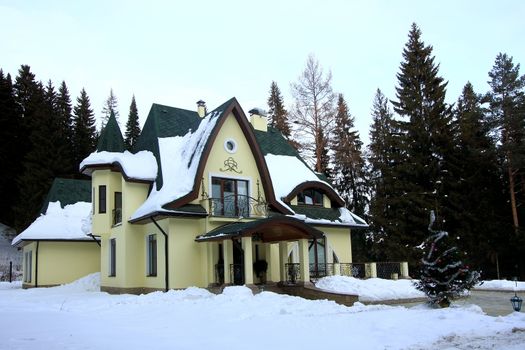 Beautiful modern private residence in winter wood