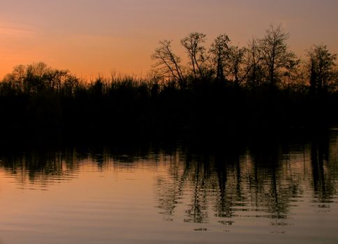 A sunset at a lake with sillhouettes of trees