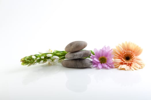 A spa theme still life with river stones and flowers, isolated on white with reflections