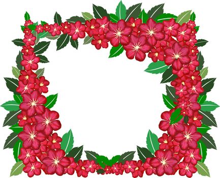 illustration of a flower frame on white background