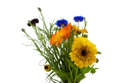 an arrangement of blue, yellow, and orange flowers with green stems and leaves