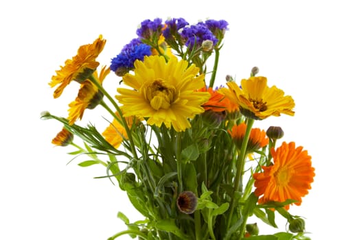 an arrangement of blue, yellow, and orange flowers with green stems and leaves