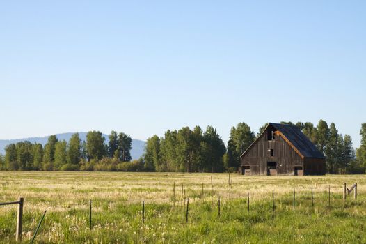 Old wood barn in grass field with trees and sky
