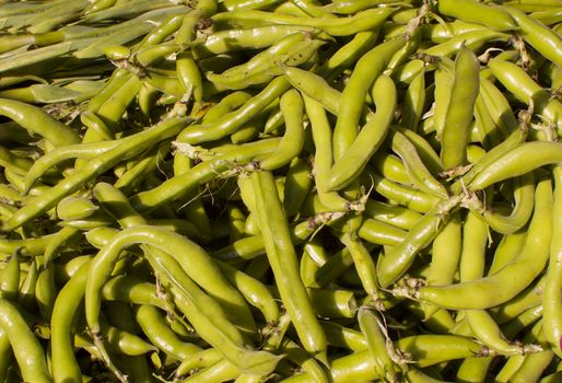 a pile of green fava beans at the farmers market in the morning sun