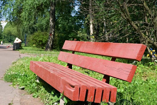 Red bench in the park in summer day