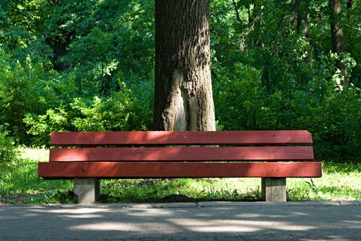 Red bench in the park