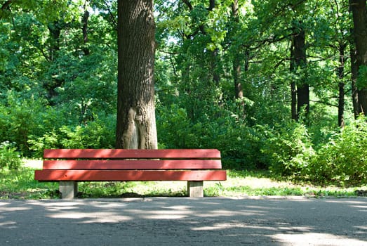 Red bench in the park in summer day