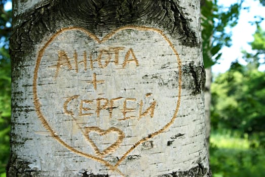 The inscription carved on the birch bark