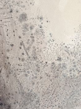 close up on a pattern of mildew mold growing on a wall