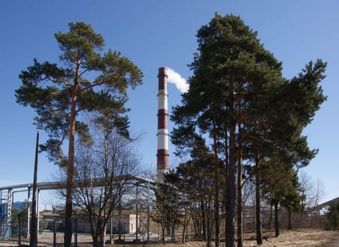 Pipe and trees on a background of the blue sky