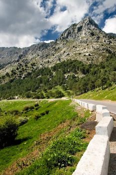 Path to the mountain range of Grazalema ( Cadiz )