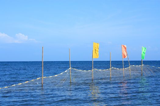 warning flags for jellyfish protection