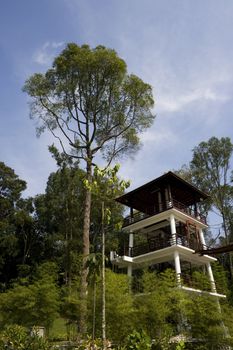 A tower in a natural park locate in Malaysia.