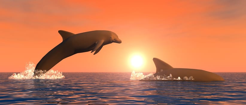 illustration showing some dolphins playing at sunset