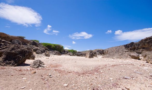 rocky bay view with coral and stone beach 
