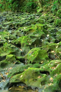 It is a topography of green pot hole.