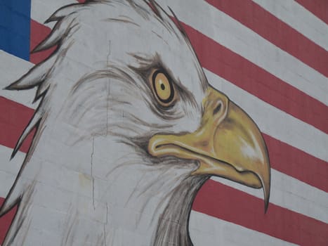 graffiti of an eagle with the american flag in the background