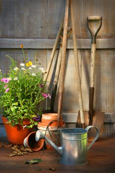 Garden tools and a pot of summer flowers in garden shed