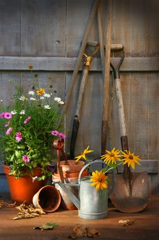 Garden shed with tools and flower pots 