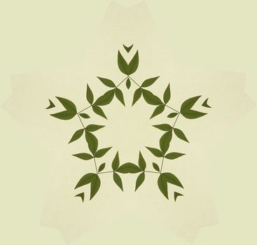 illustration of leaves in a symmetrical arrangement