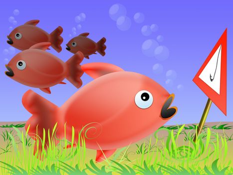 fish fleeing before the danger signal
