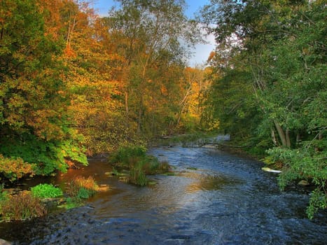 colorful autumn river with trees red, green and yellow