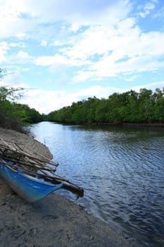 tropical forest river with an abandoned old wooden boat located in a remote forest in the philippines