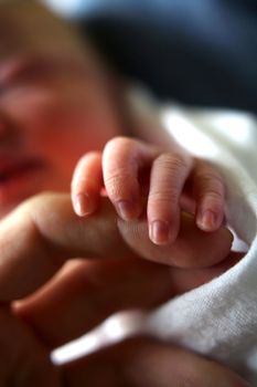 Close up of a baby gripping adult's finger