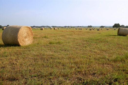 Golden Straw Hay Bales in american countryside on sunny day