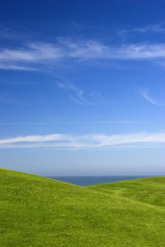 beautiful meadow with Green grass and blue sky