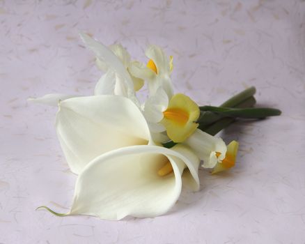 white calla lilies with white and yellow Dutch iris