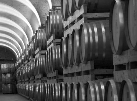 Cellar full of wooden barrels
