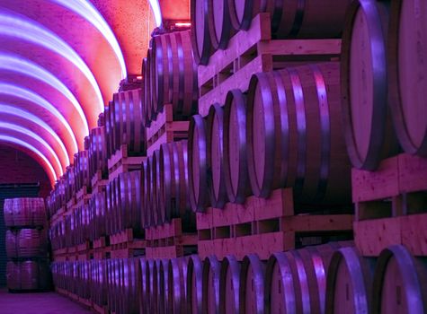 Cellar full of wooden barrels