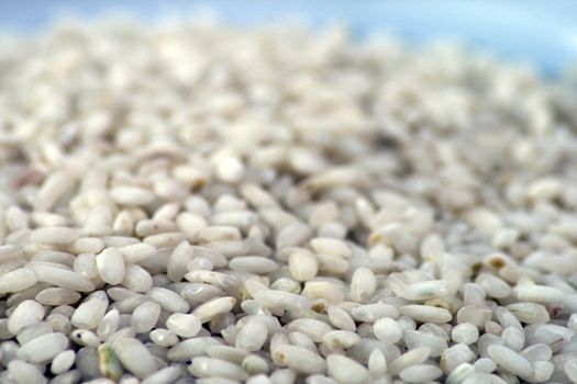 Closeup of rice