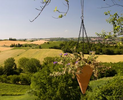 Landscape of a pleasant place, with a pending vase of flowers