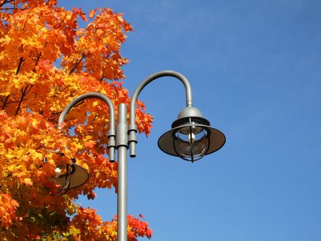 Strassenlaterne an einem herbstlichen Ahorn
