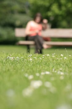 Soft focus image of a single person sitting on a park bench. Sharp focus to middle distance on daisy strewn grass, soft focus to foreground and background.