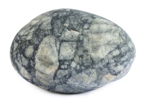 Egg shaped breccia, with white or light grey rock fragments in a dark matrix