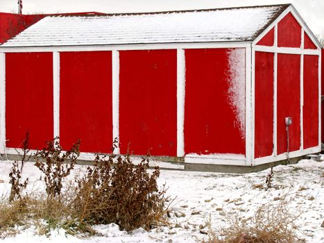Snow Covered Red and White Shed showing a winter foreground of snow covered shrubs.
