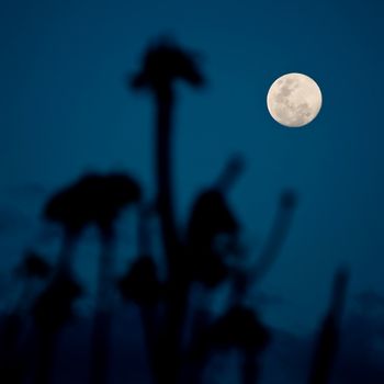 Full moon rising at twilight