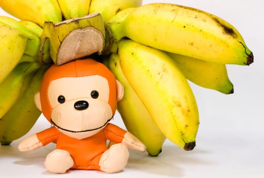 Still life of toy monkey beneath a comb of bananas