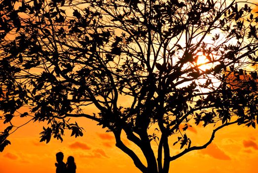 Silhouettes of two lovers under a tree at a fiery red sunset evening