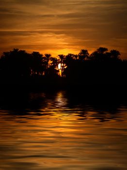 A late evening in Egypt, with the Sun setting behind the trees.

(with water reflection)