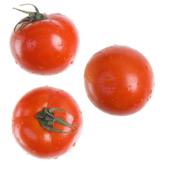 Red Tomato isolated type with side,overhand,frontal on white background