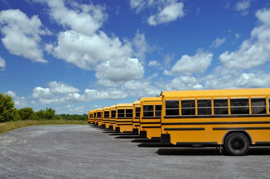 School buses in a row on a parking lot