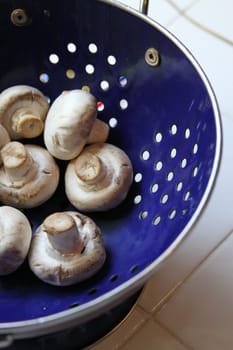 Close up of the mushrooms on a plate.