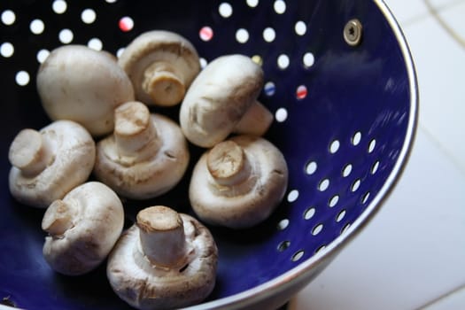 Close up of the mushrooms on a plate.