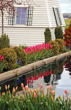 Pond surrounded by colorful tulips