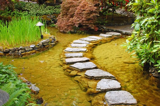 Stone path in garden pond